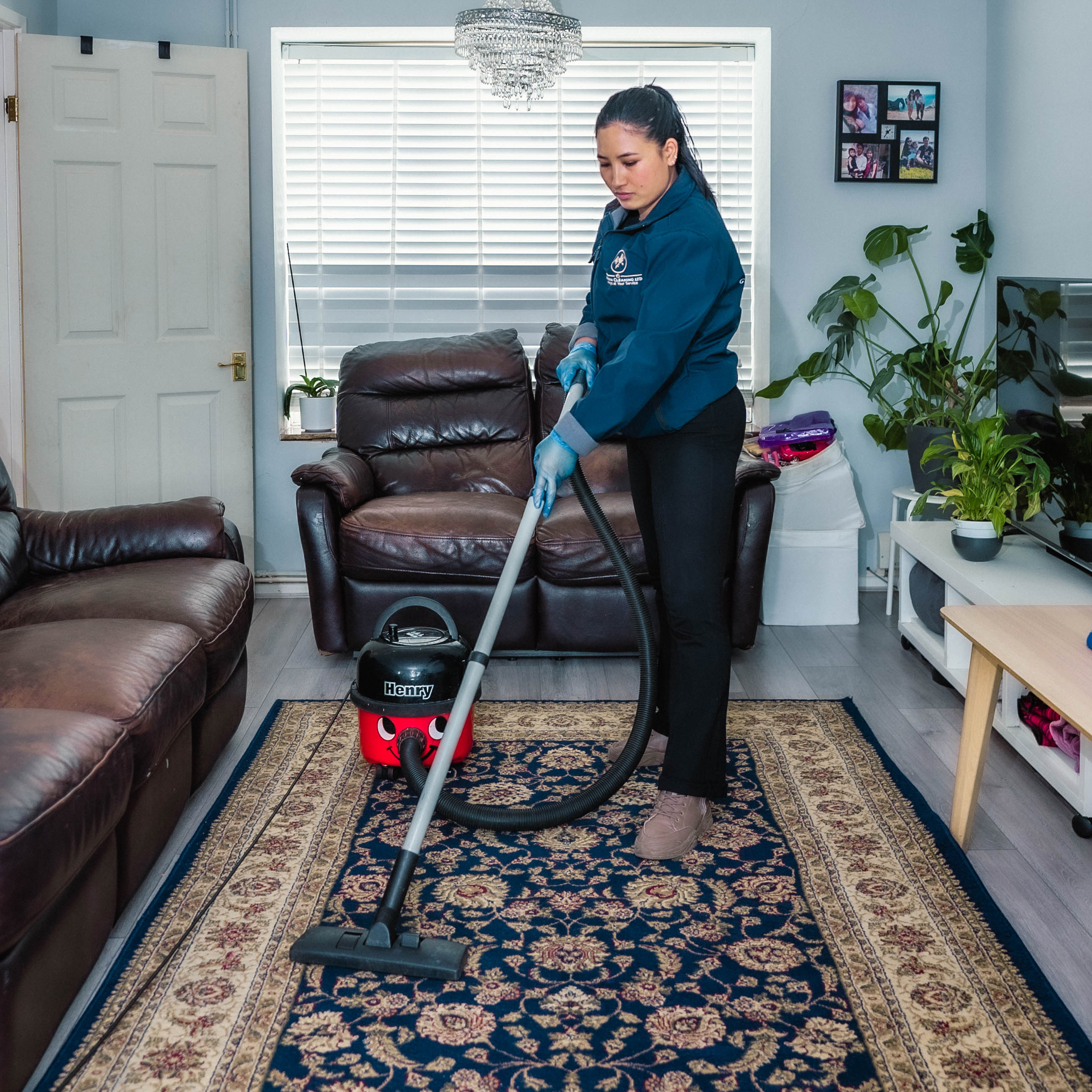 Carpet Cleaning Services - Domestic