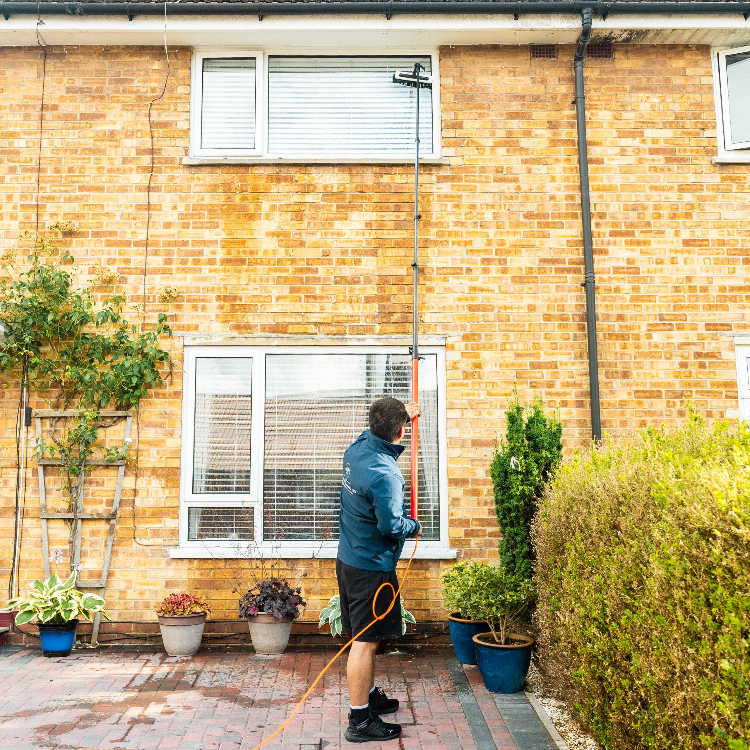 Window Cleaning Services